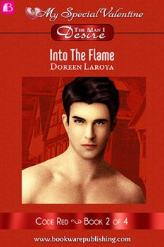Into The Flame
