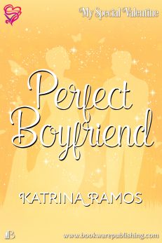 Perfect Boyfriend