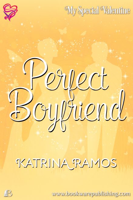 Perfect Boyfriend