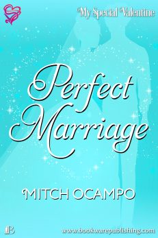 Perfect Marriage