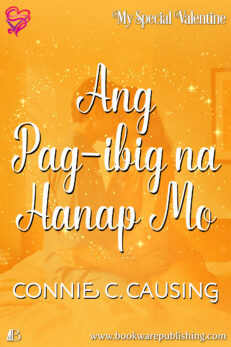 Ang Pag-ibig na Hanap Mo