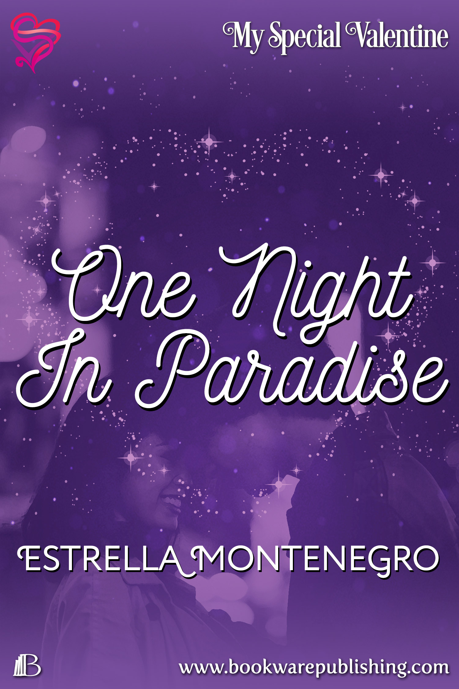 One Night In Paradise
